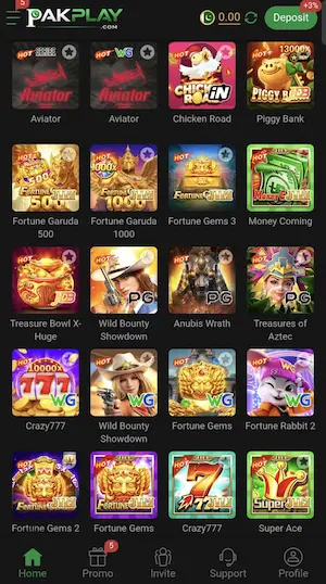 PakPlay Game